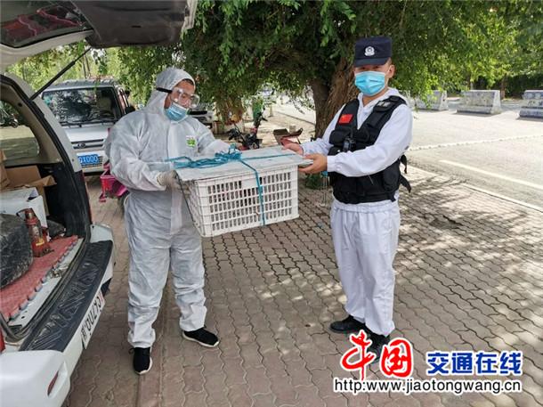 警民携手暖心助红隼展翅归天际