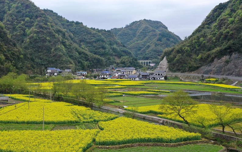 长沙探索集体林改新路：释放农户资产潜能，激活乡村振兴动能