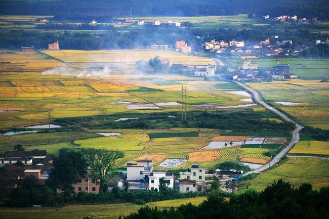 阳曲乡村振兴游：种养田园成游园，引客下乡真难忘