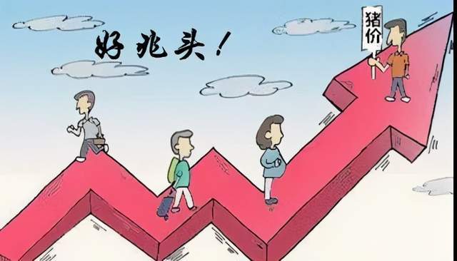 兆易创新大挫5% 业绩不及预期引担忧