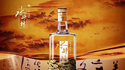 水井坊多元化长尾密码驱动增长