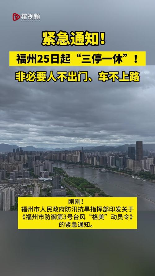 主城区三停一休 非必要人不动车