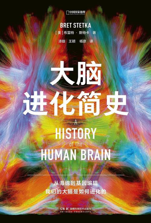 留学学医的理想国度