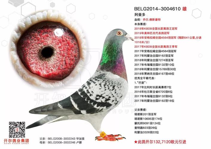 范家窝棚堤坝封堵宣告完成