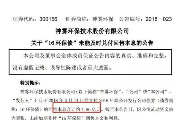 深交所拟公开谴责神雾环保及吴道洪